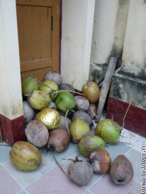 The golden coconut
